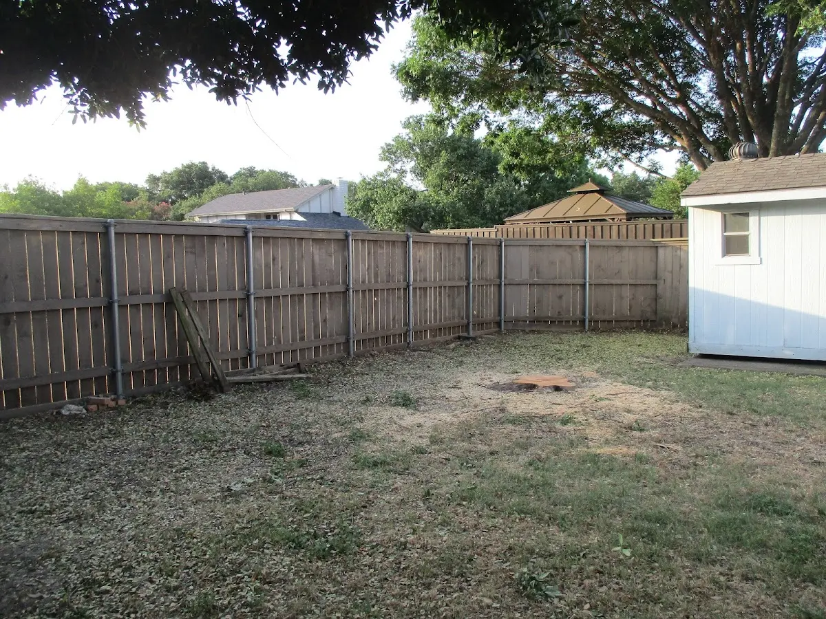 Cleared yard after professional tree removal in Morgantown